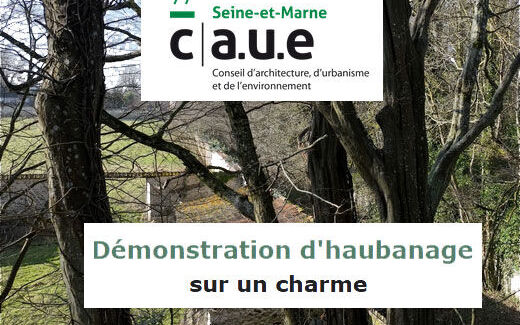 Démonstration d'haubanage