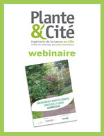 Webinaire Plante & Cité "Strates arbustives : de la conception à la gestion"